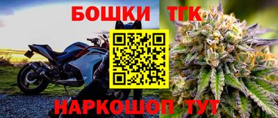 прущие грибы Пыть-Ях