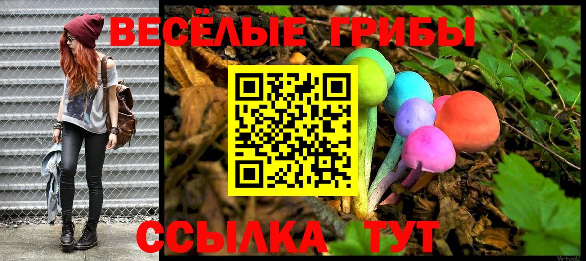 Псилоцибиновые грибы Psilocybe Тавда