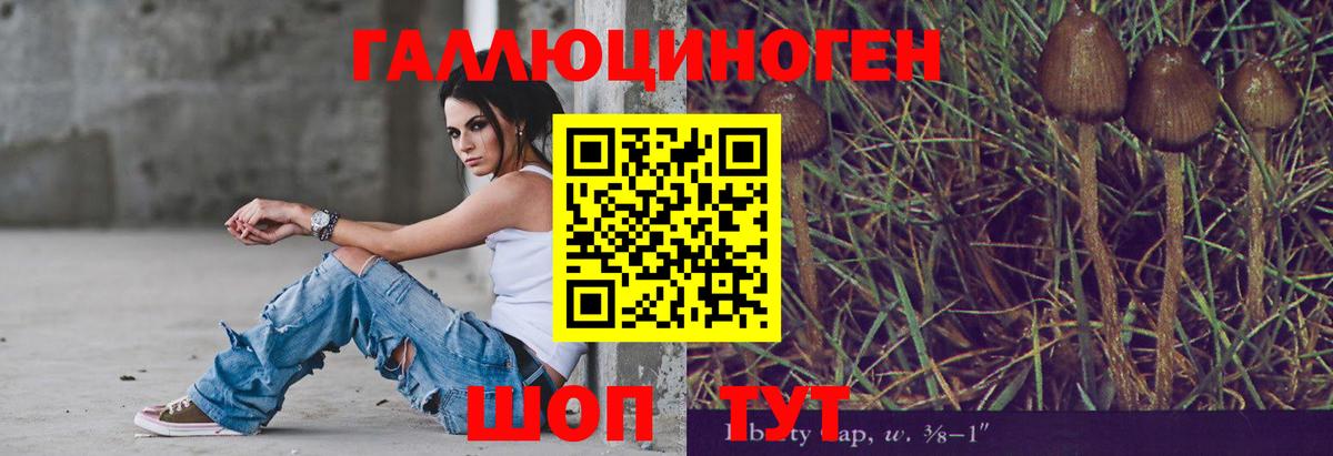 Галлюциногенные грибы Psilocybe  Галлюциногенные грибы Psilocybine cubensis  Вход с VPN  Тавда 